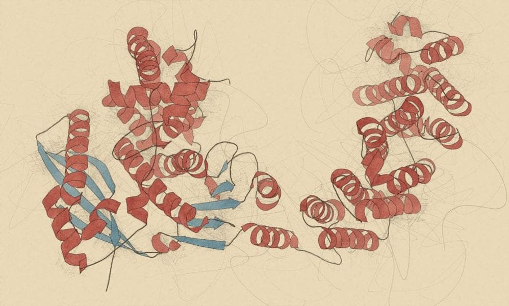 Dessin représentant une molécule de collagénase pour le traitement de la maladie de Dupuytren.